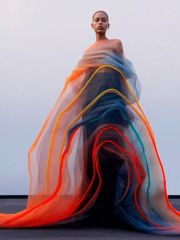 Portrait Description